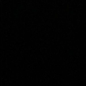 Meet your Posher, Elvira